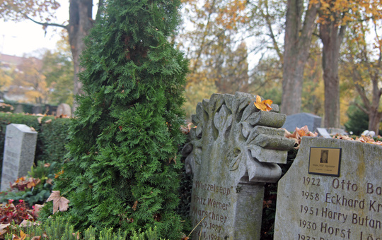 Grabsteine auf einem Friedhof